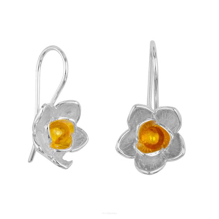 KOLCZYKI SREBRNE Z BURSZTYNEM